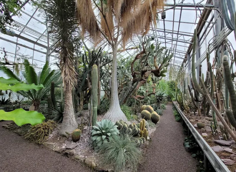Botanic Garden St. Gallen, St. Gallen, Switzerland, Switzerland